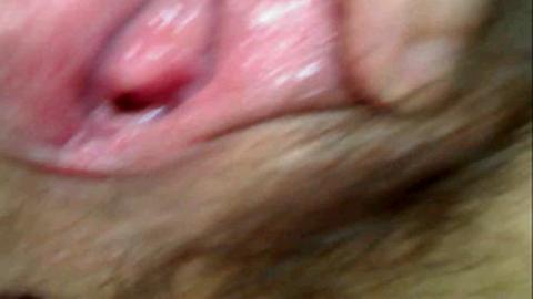 12687
