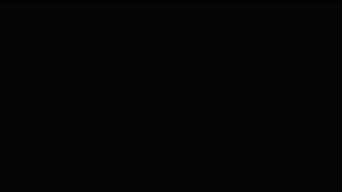 3081